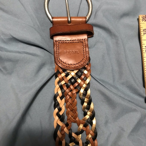 EUC Fossil Belt - Picture 4 of 4